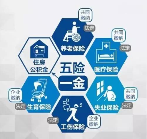 微信图片_20180313132451.jpg